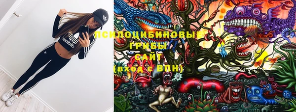 эйфоретик Алексин